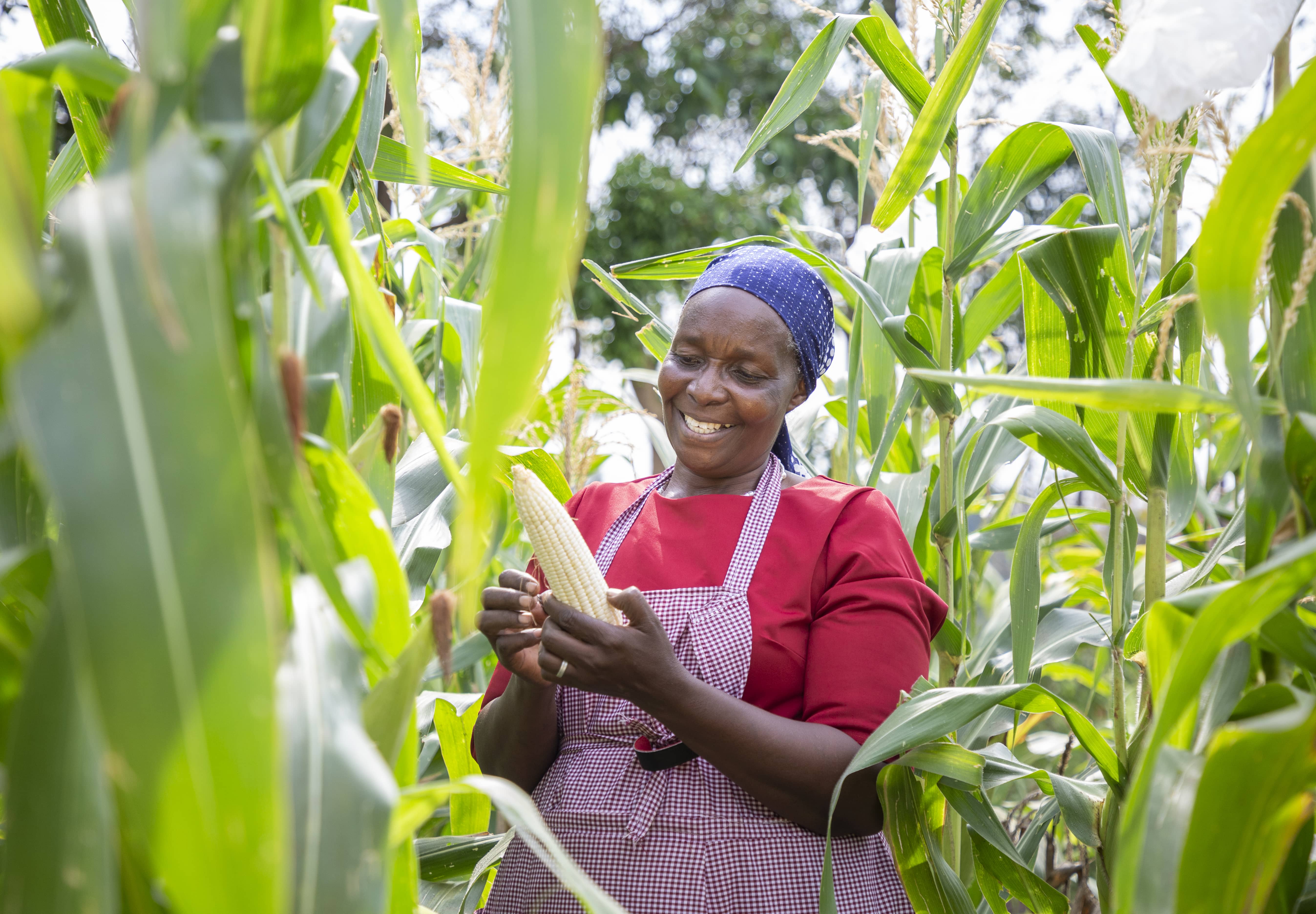 Investing in innovations key to transforming African food systems ...